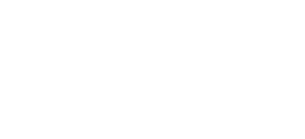 CAYRES Inc.